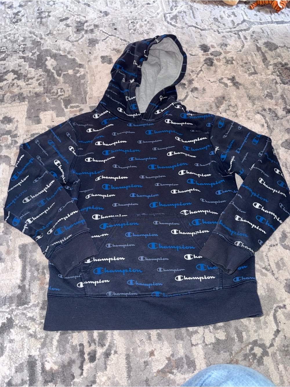 Champion Navy Pullover Hoodie with Blue & White Logos